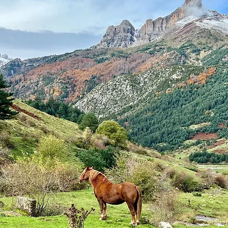 Valle De * 에초