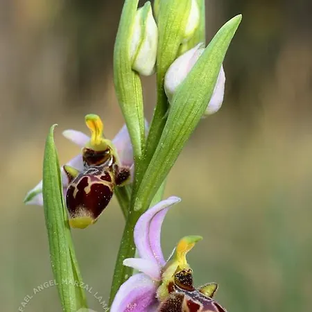 Kemping Valle De Hecho