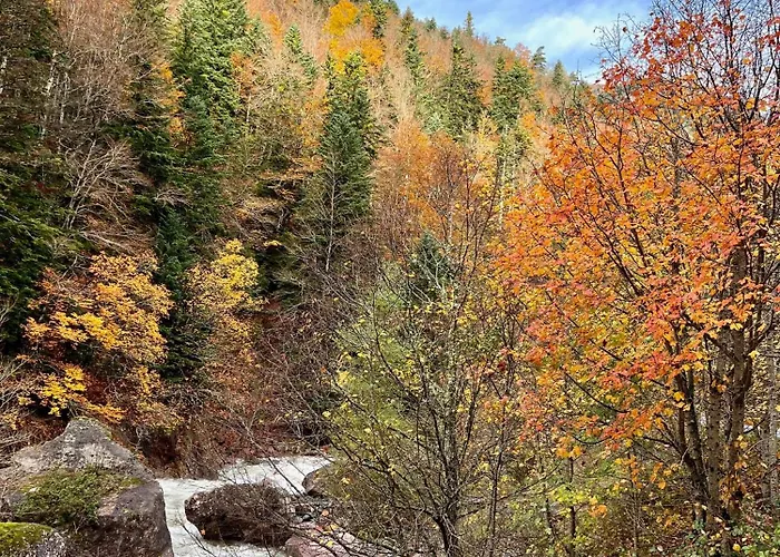 Valle De Camping Echo